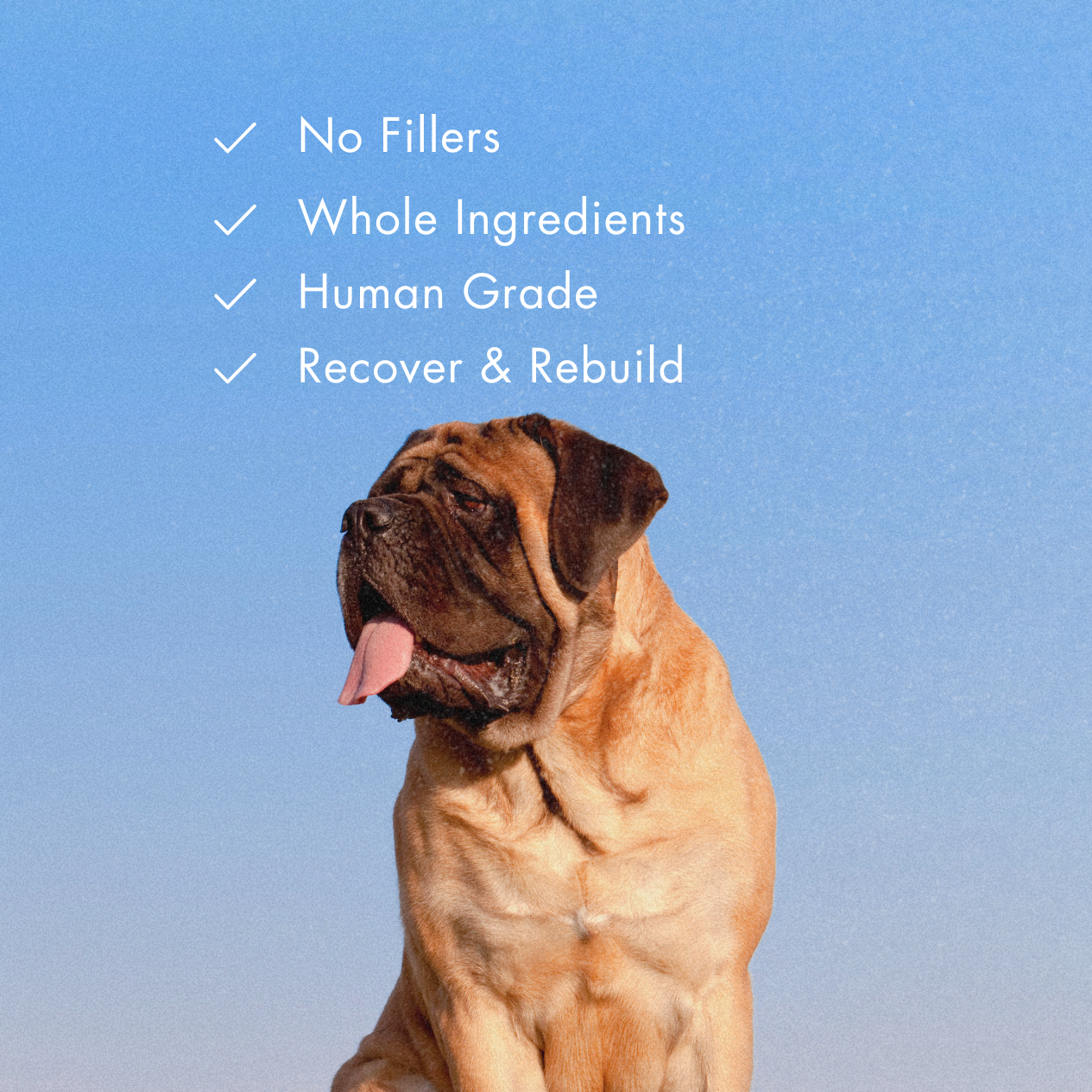 Collagen Repair