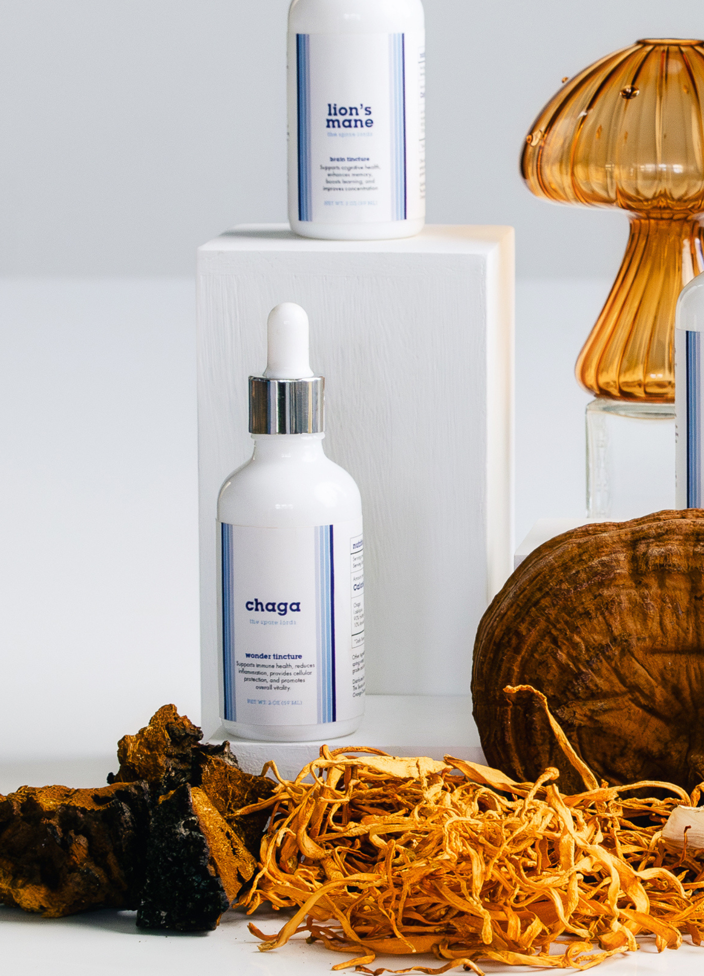 Chaga (for humans)