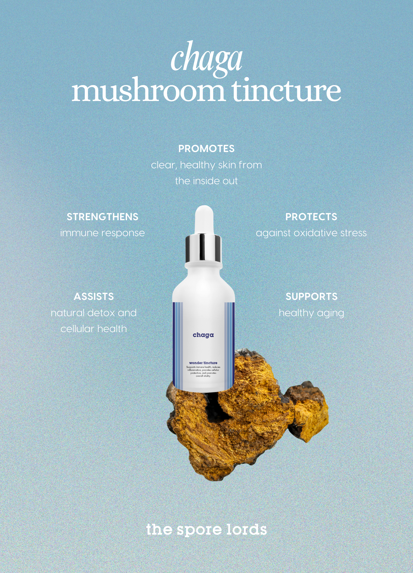 Chaga  (for humans)